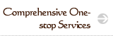 Comprehensive One-stop Services